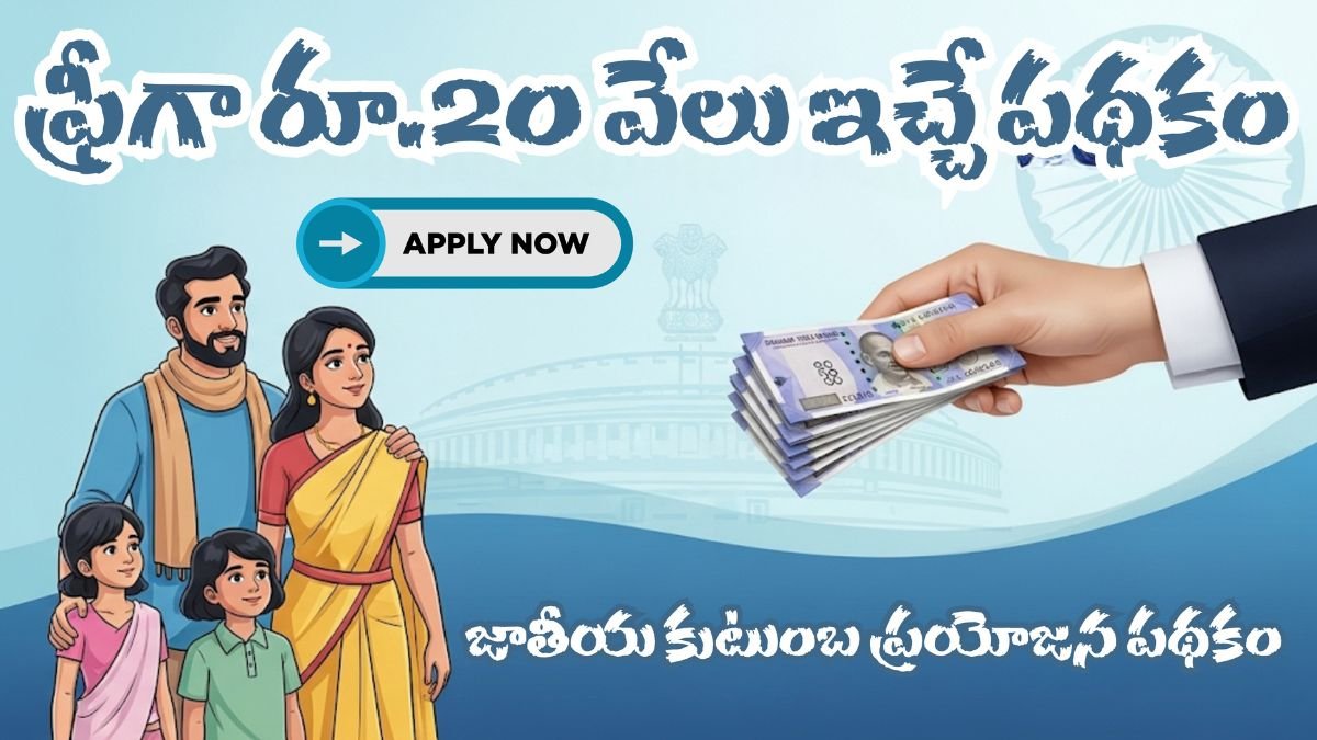 National Family Benefit Scheme 2025
